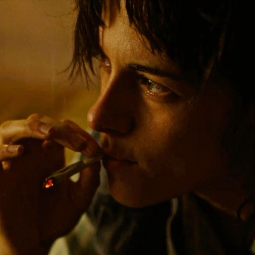 Letterboxd profile picture for @tramps