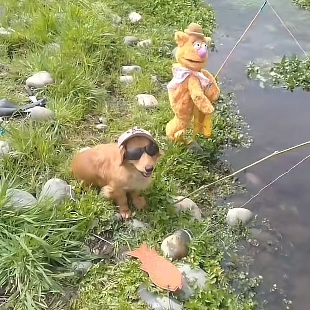 naythinly-s-profile-letterboxd