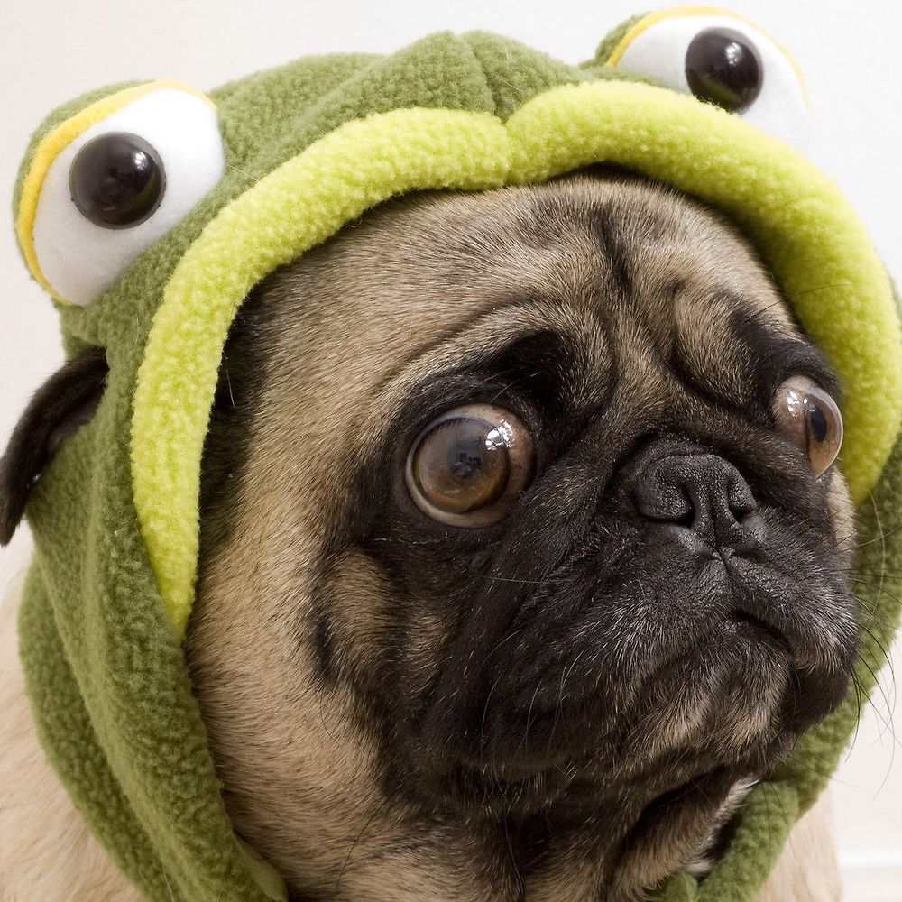 Letterboxd profile picture for @Excess