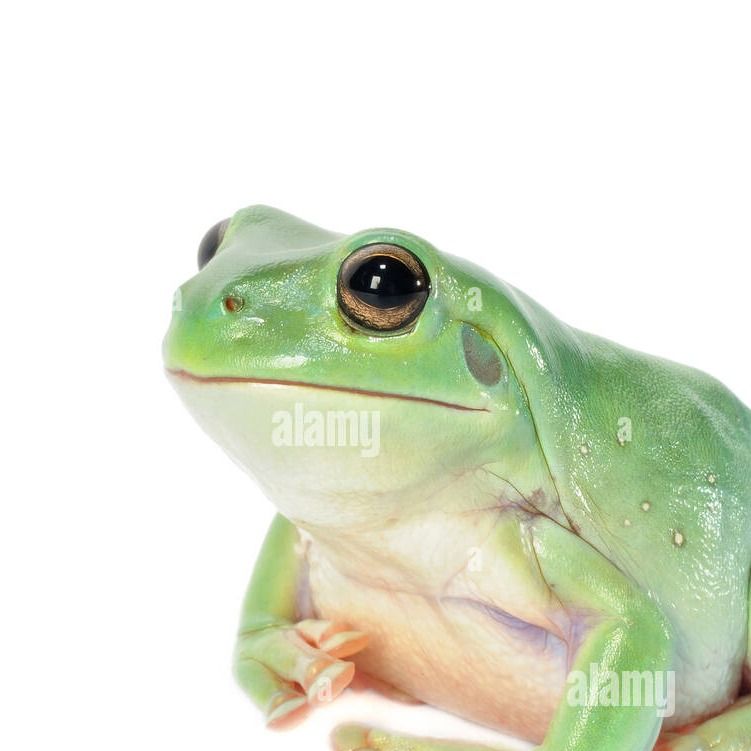 Izaaccc