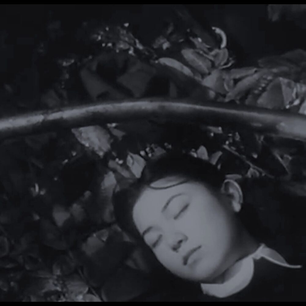 Letterboxd profile picture for @tuan1709