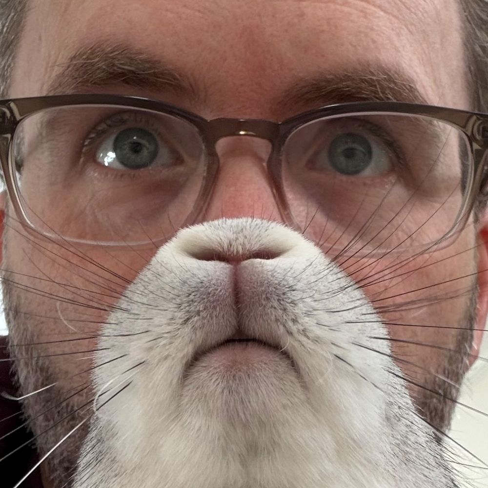 Letterboxd profile picture for @dunk