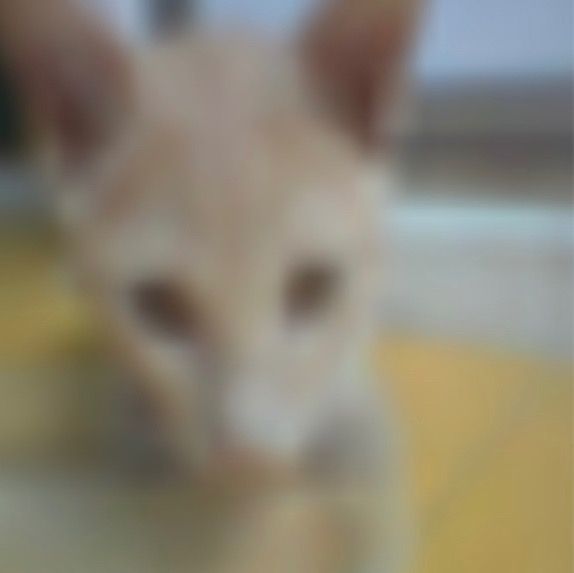 Cam