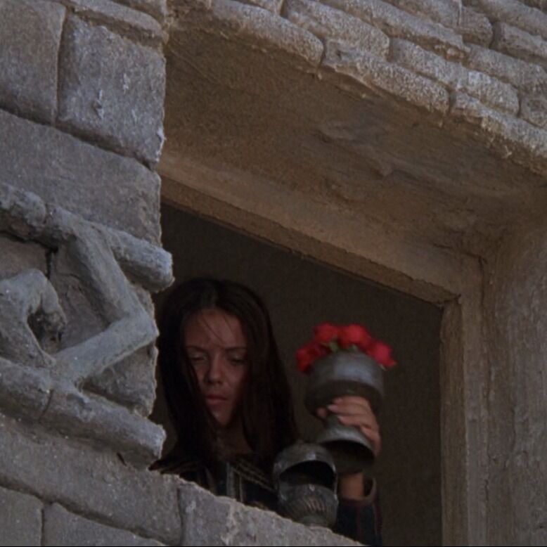 Letterboxd profile picture for @housewife