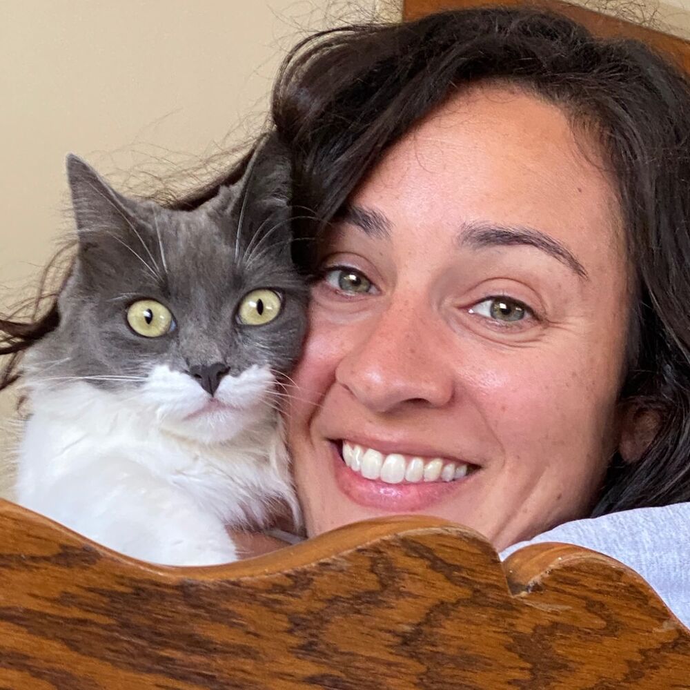Letterboxd profile picture for @Surveyor
