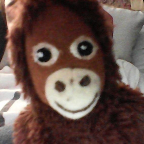 Letterboxd profile picture for @elijas