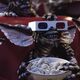 GorelickJ