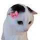 thetruegeengeen