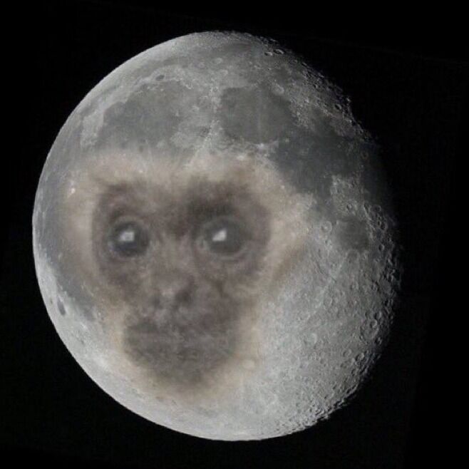 Letterboxd profile picture for @ninka