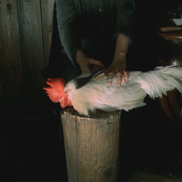 Letterboxd profile picture for @famished
