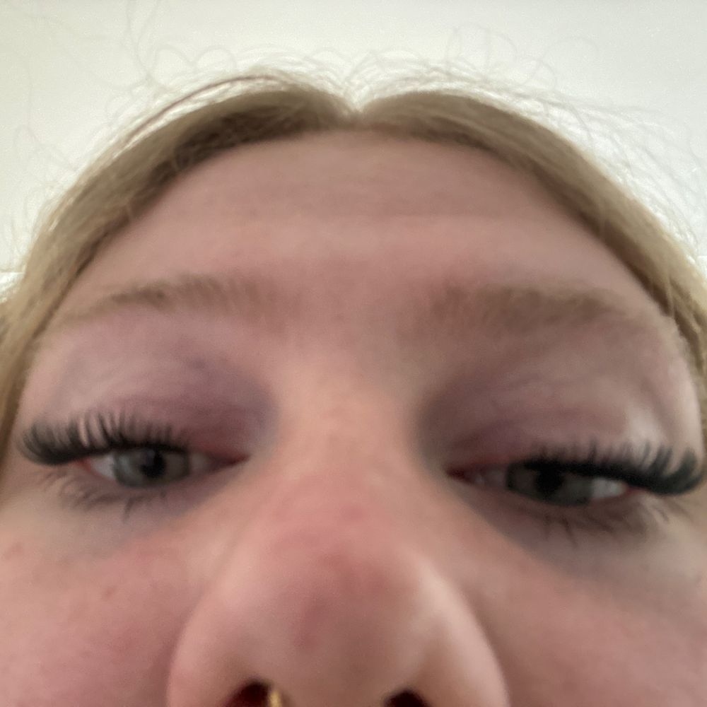 bonk asf’s profile • Letterboxd