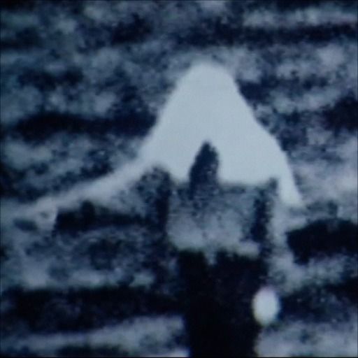 Letterboxd profile picture for @paparazzo