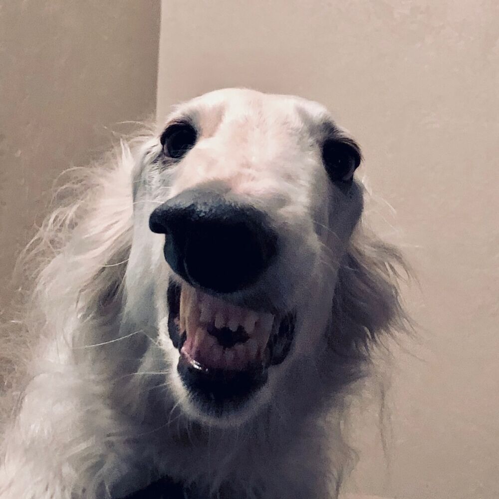 Letterboxd profile picture for @Meteorology