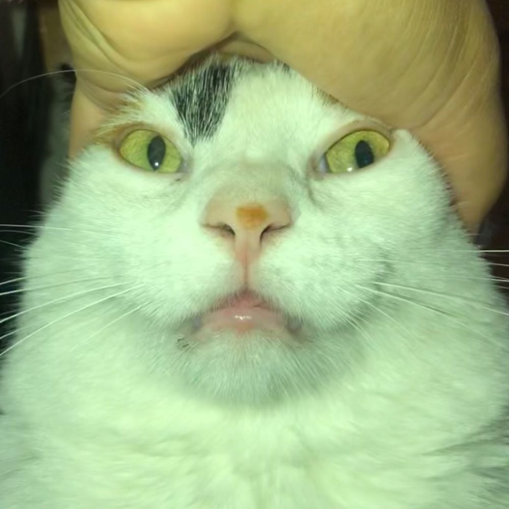 Letterboxd profile picture for @Moncho