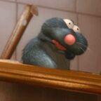 RatJacko