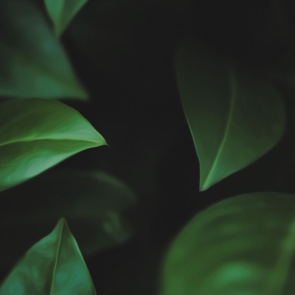 Letterboxd profile picture for @Theta