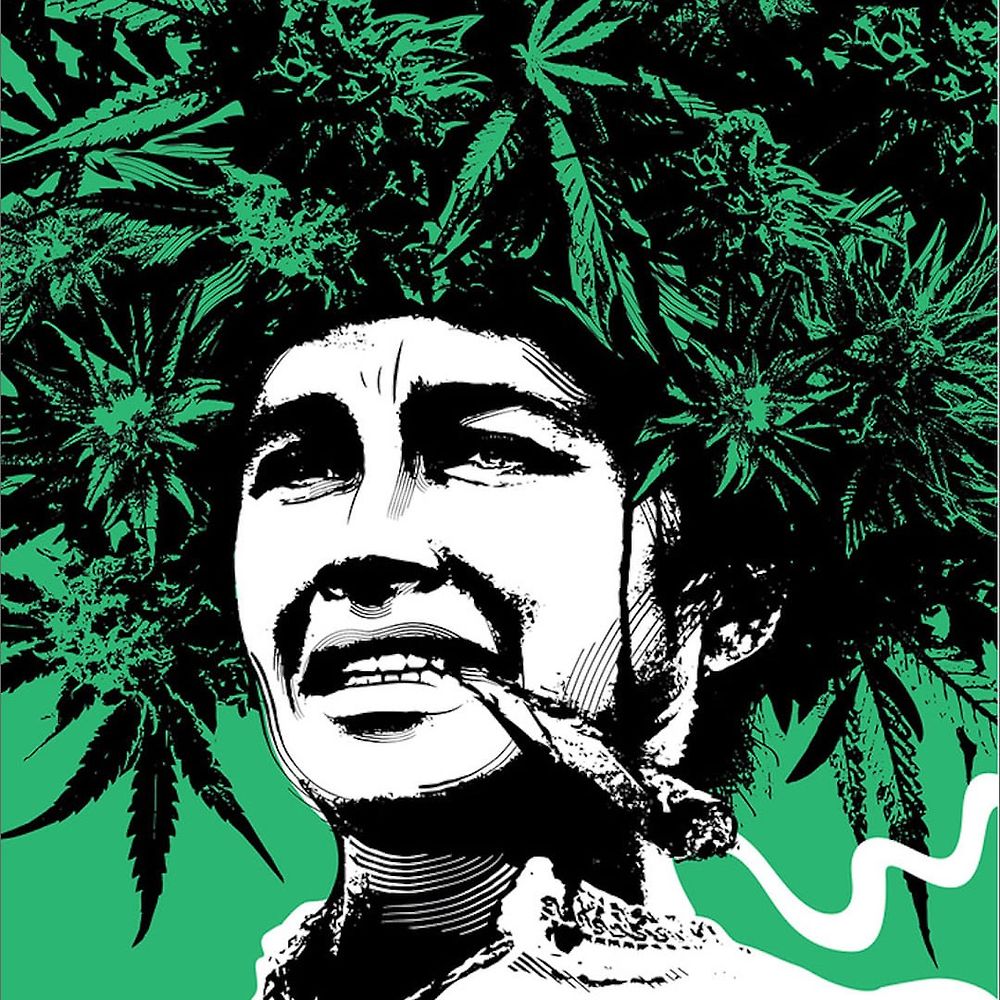 Letterboxd profile picture for @yarely