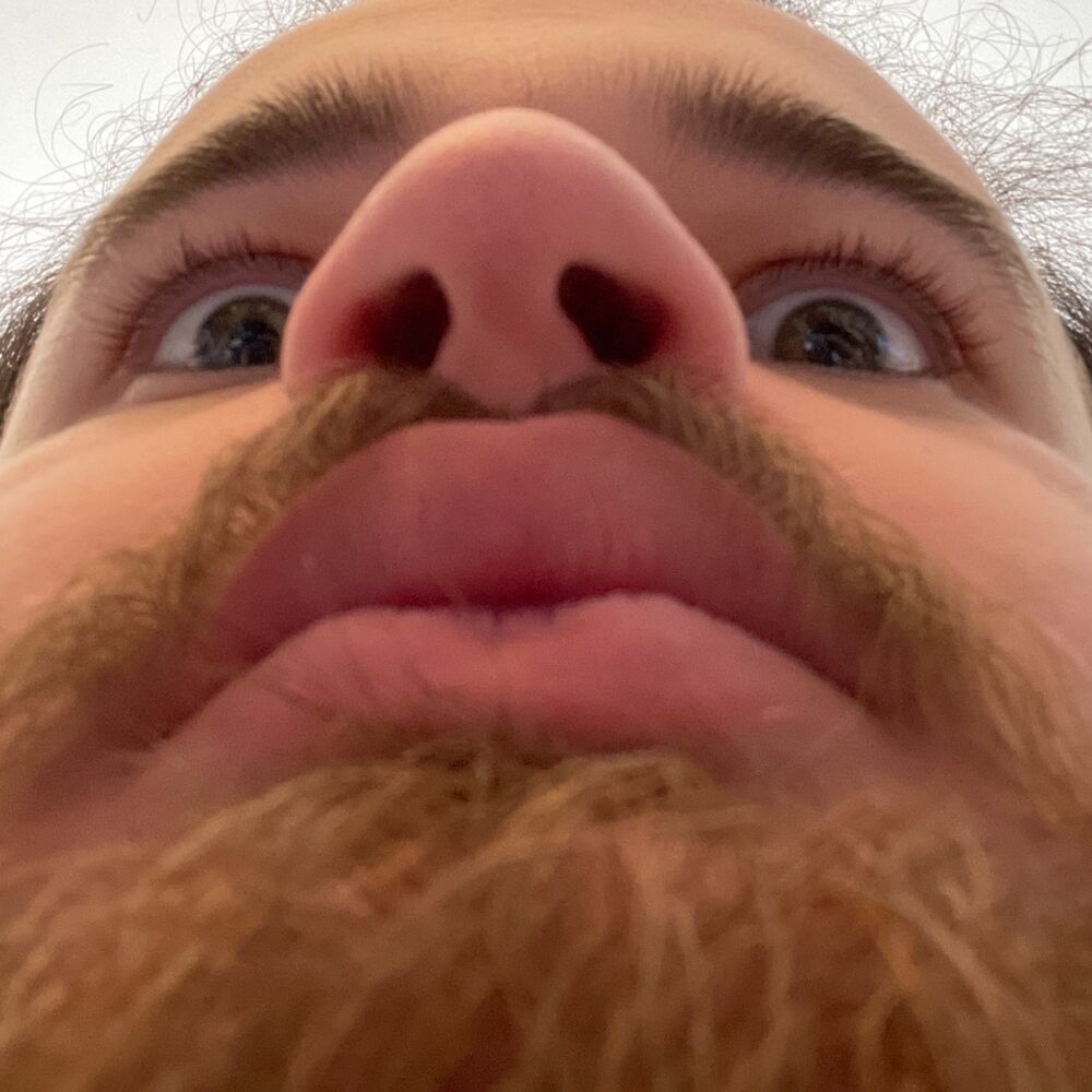 Letterboxd profile picture for @Horned