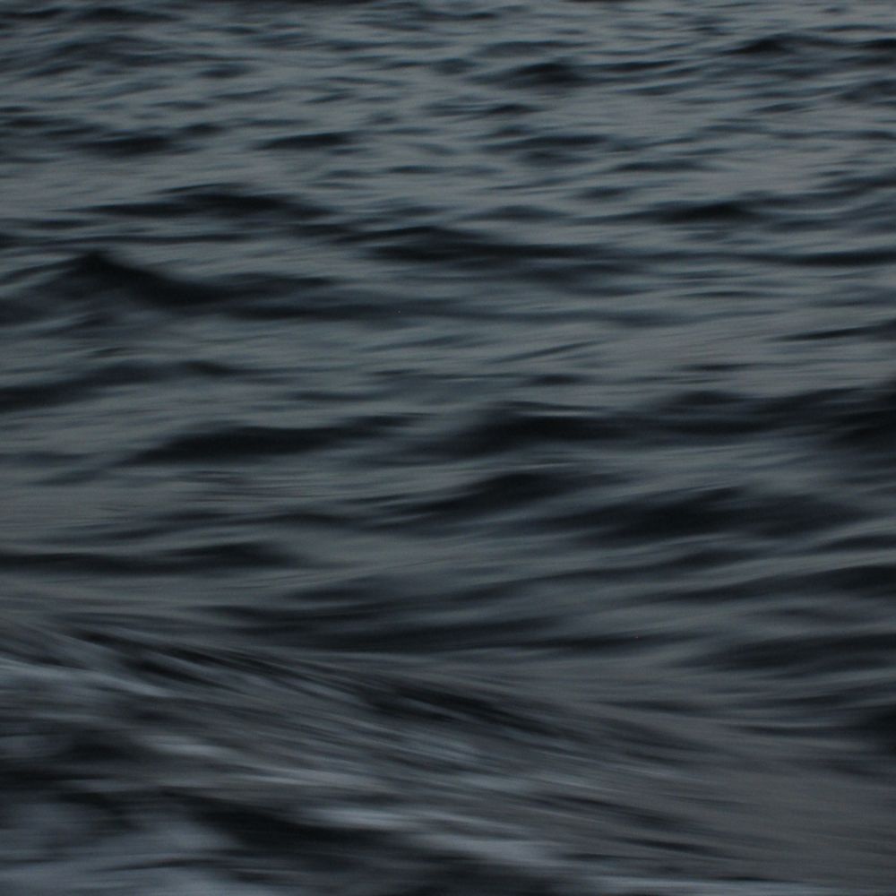 ‎ephy’s profile • Letterboxd