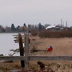 Dante Alexander Wilcox