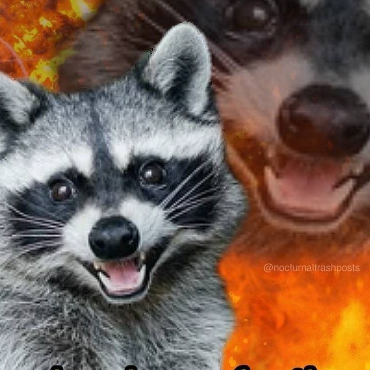 Letterboxd profile picture for @Reddish