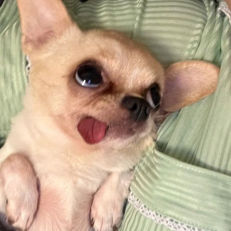 Letterboxd profile picture for @soy