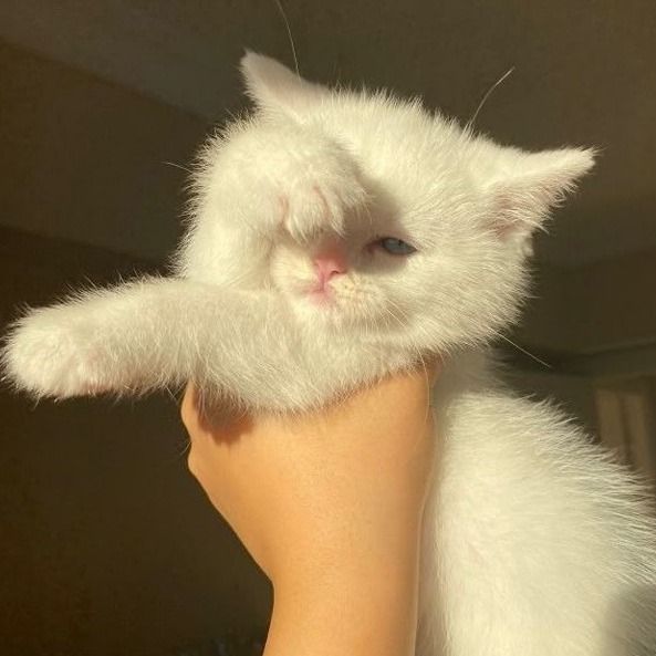 alexis harrington’s profile on Letterboxd