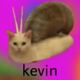 Kevin Barbella