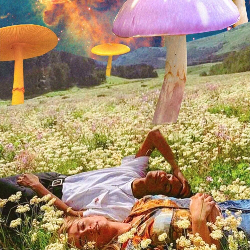Letterboxd profile picture for @intellect