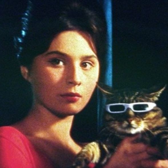 Letterboxd profile picture for @Sirs