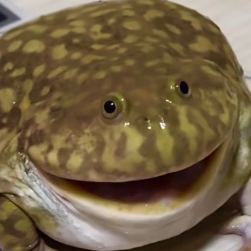 Paul