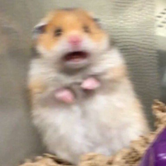 Letterboxd profile picture for @Threatened