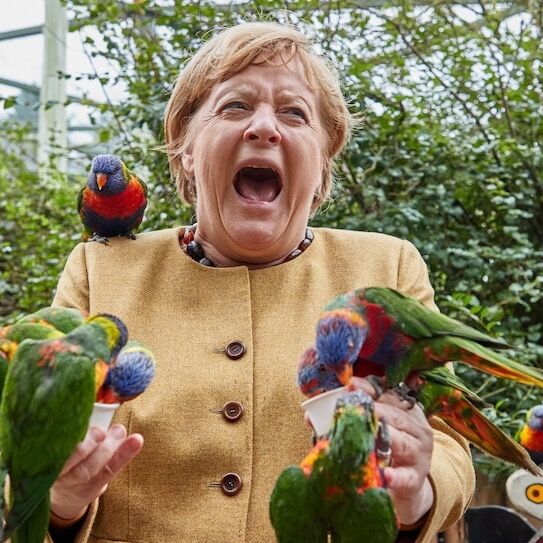Hellmich