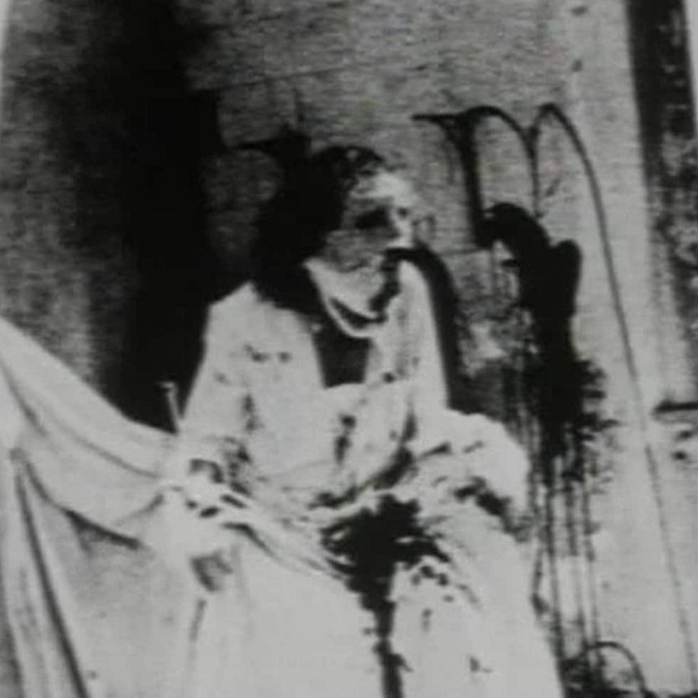 ‎eraserhead_’s profile • Letterboxd