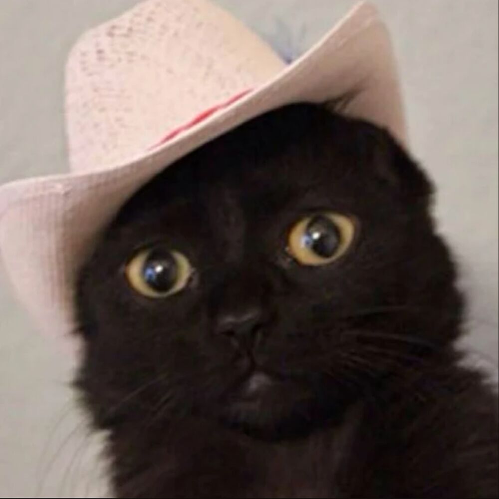 Letterboxd profile picture for @jmartinez