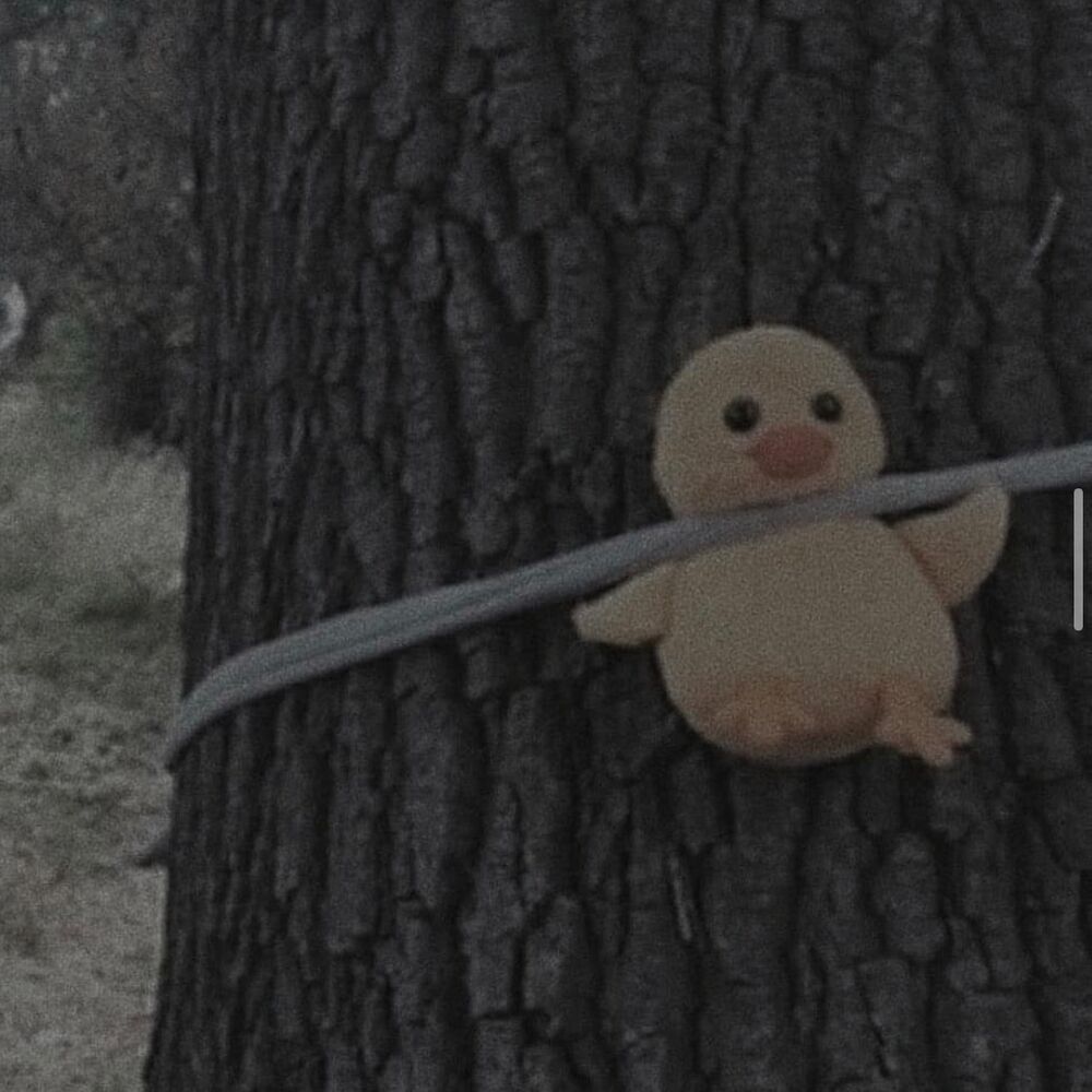 Letterboxd profile picture for @Taffeta
