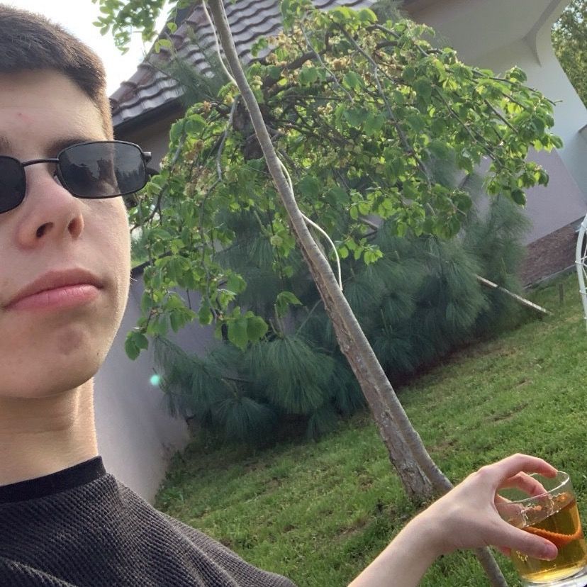 Letterboxd profile picture for @Fiste