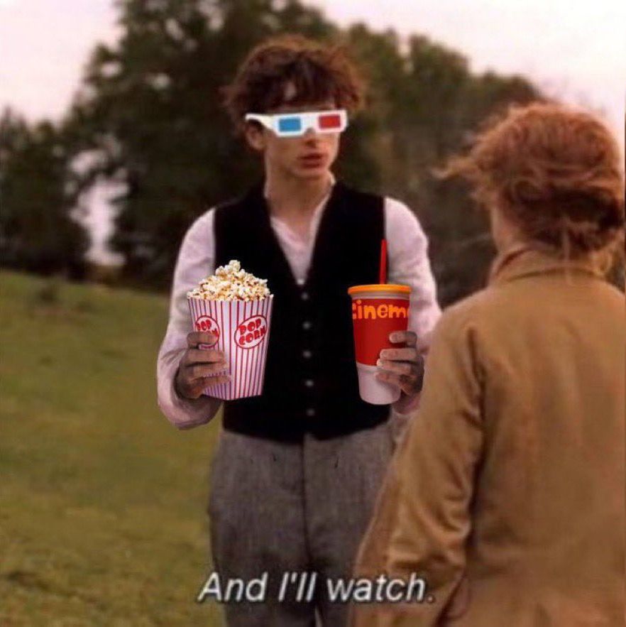 Letterboxd profile picture for @searches