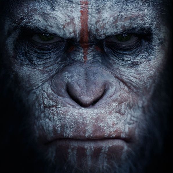 Letterboxd profile picture for @Caesar