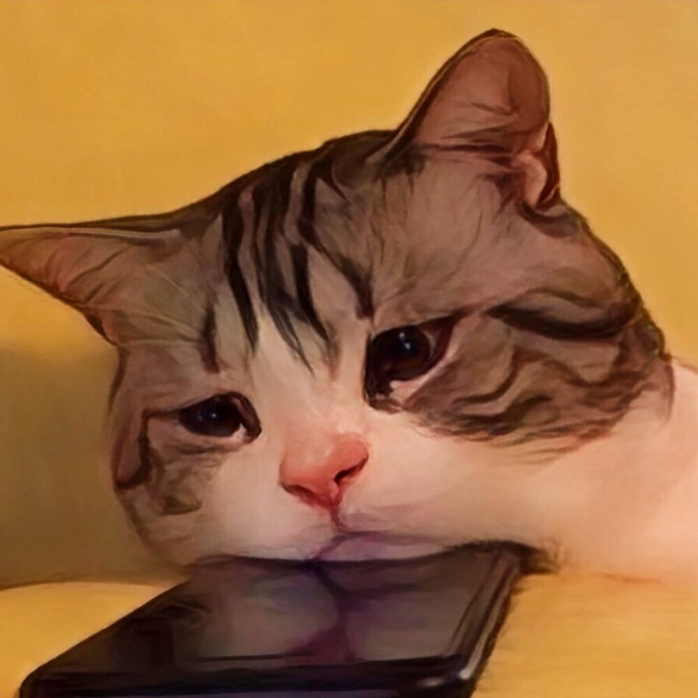 Letterboxd profile picture for @despondent