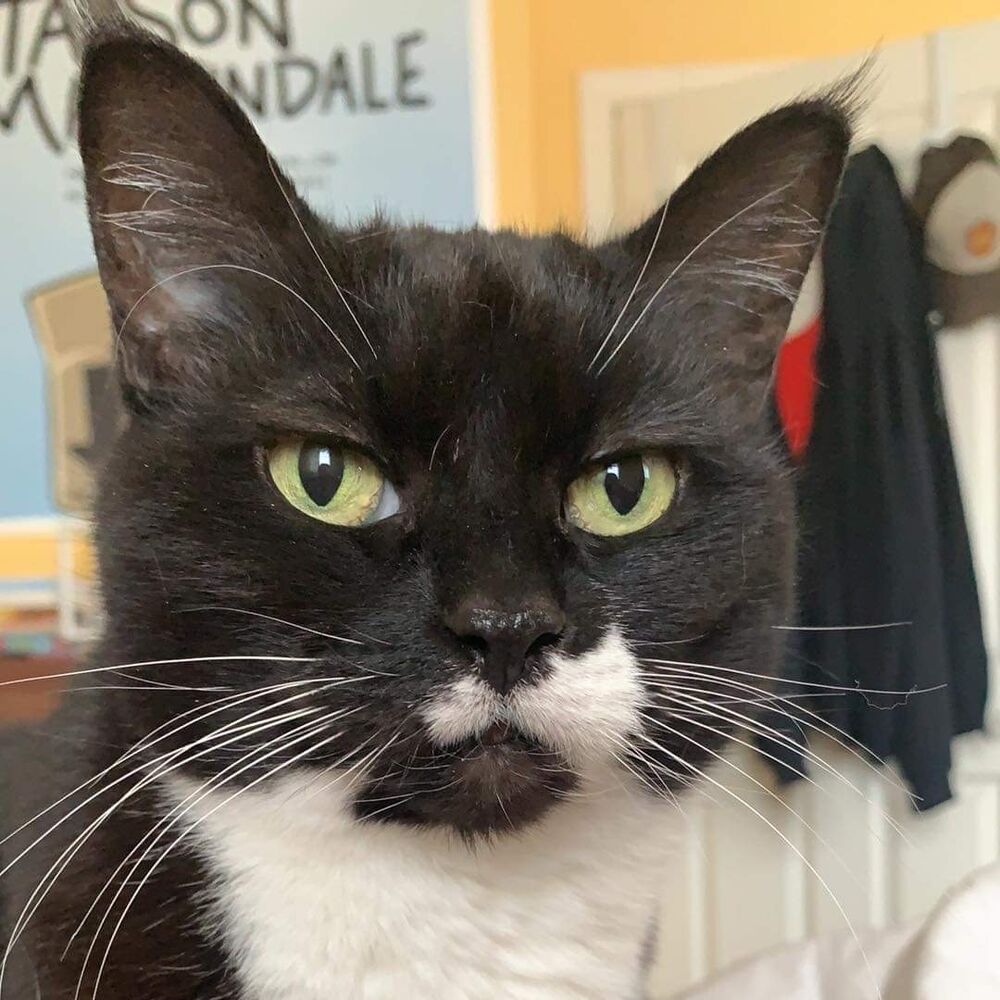 Letterboxd profile picture for @tayson