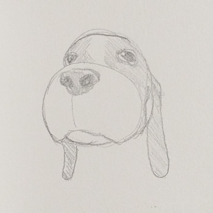Letterboxd profile picture for @gripe