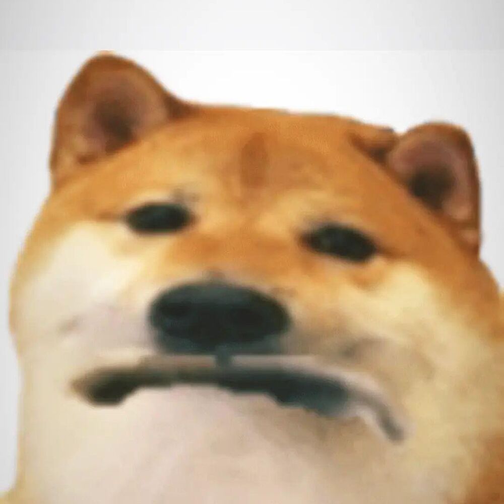 Letterboxd profile picture for @magolo