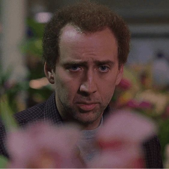 Letterboxd profile picture for @WB