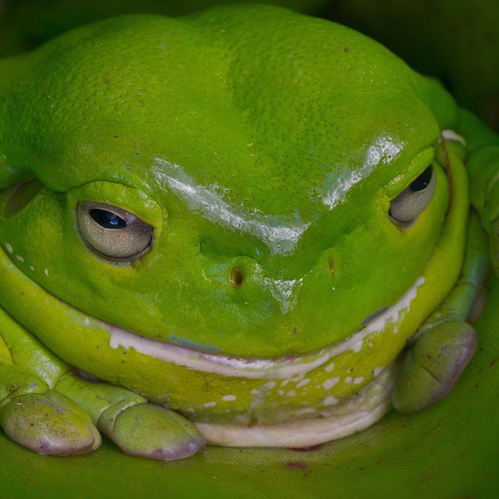 Letterboxd profile picture for @tampered