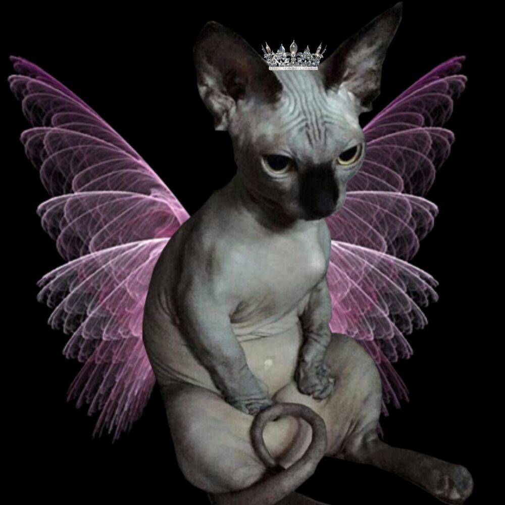 ‎Cath’s profile • Letterboxd