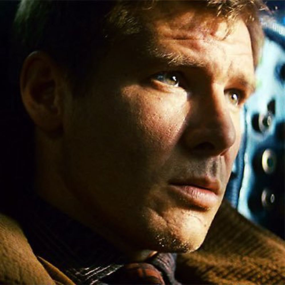 ‎Nasser S S’s profile • Letterboxd