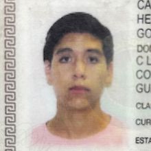 El divloo
