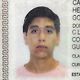 El divloo