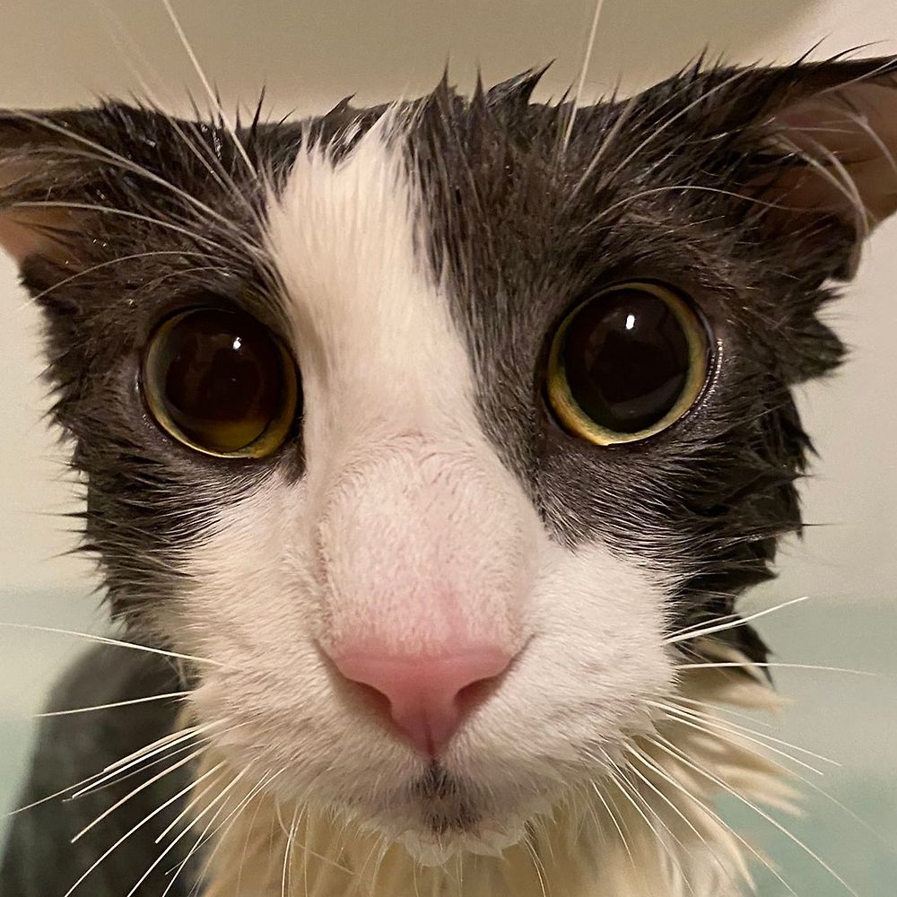 ‎Natsune’s profile • Letterboxd